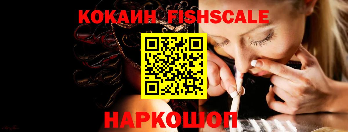 Тосно  КОКАИН  Вход с VPN  Cocaine Fish Scale 