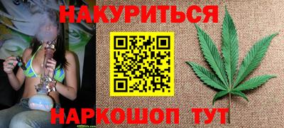 кокс Кингисепп