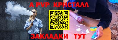 кокс Кингисепп