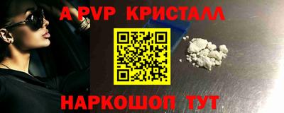 кокс Кингисепп