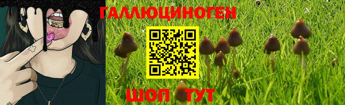 Псилоцибиновые грибы MAGIC MUSHROOMS Тосно